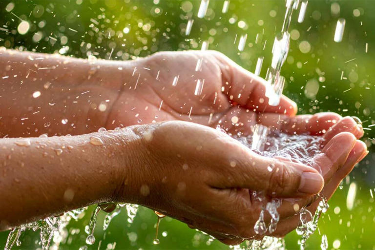 Pourquoi est-il formellement interdit de récupérer l’eau de pluie pour cuisiner ou pour boire ?